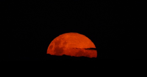 Prophetic Dream: Beware of the Rising Blood Moon