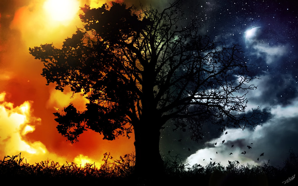 Prophetic Word: Night & Day