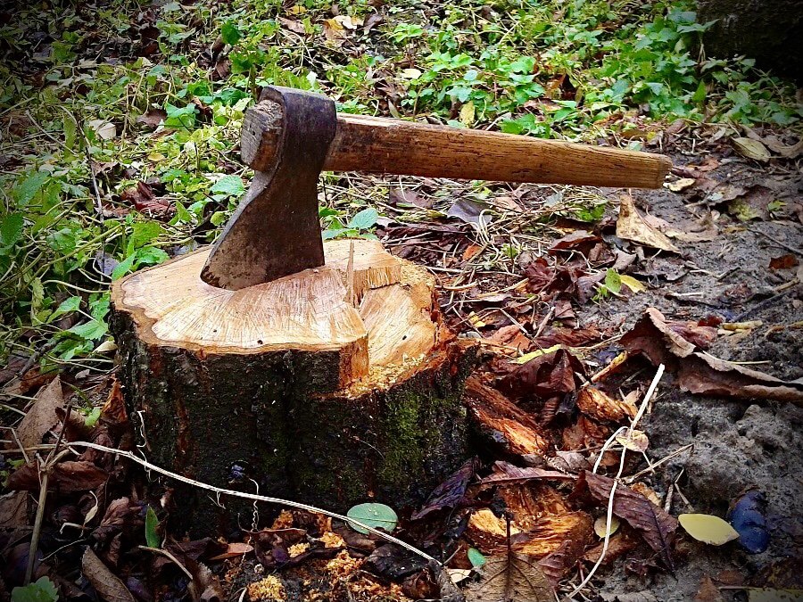 The AX Prophetic Dream 10/1/21
